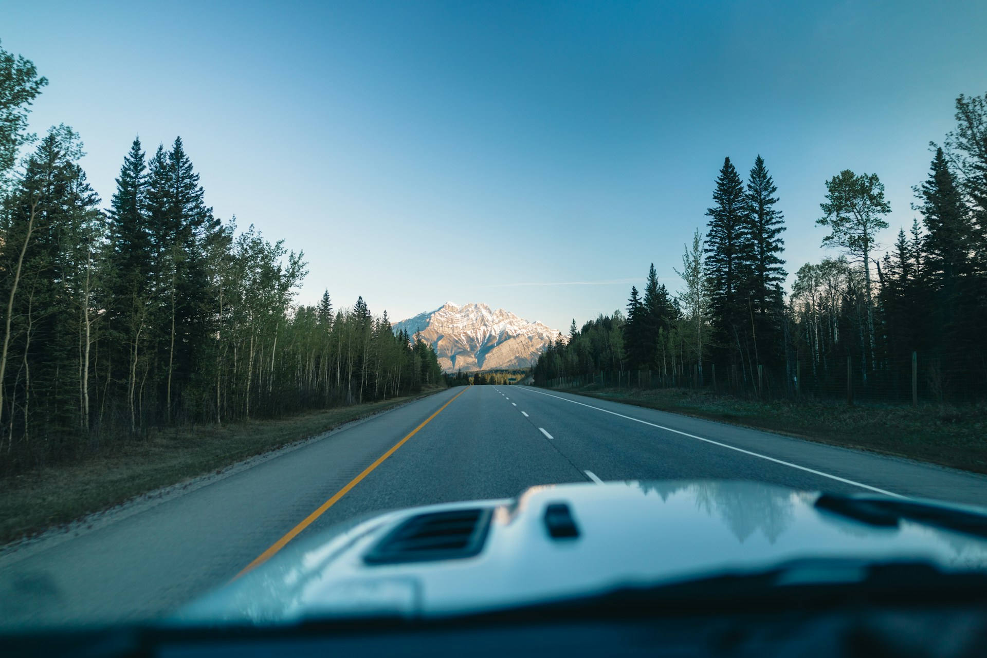 An Essential Guide to Driving Overseas