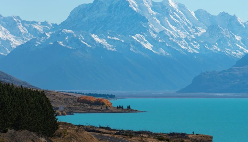 An Essential Guide to Driving Overseas